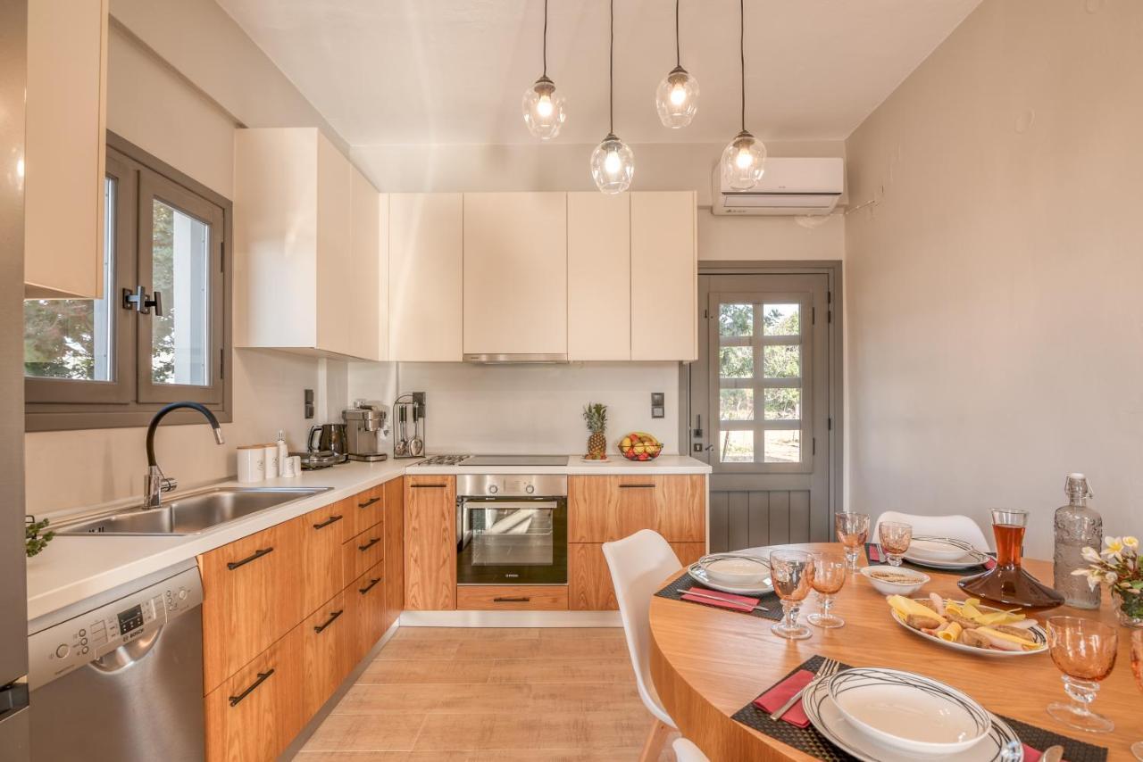 팔라사르나 Alexandros Luxury House 빌라 외부 사진